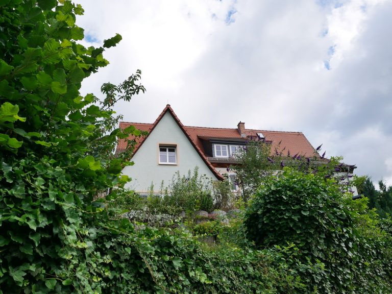 P1260164_kl