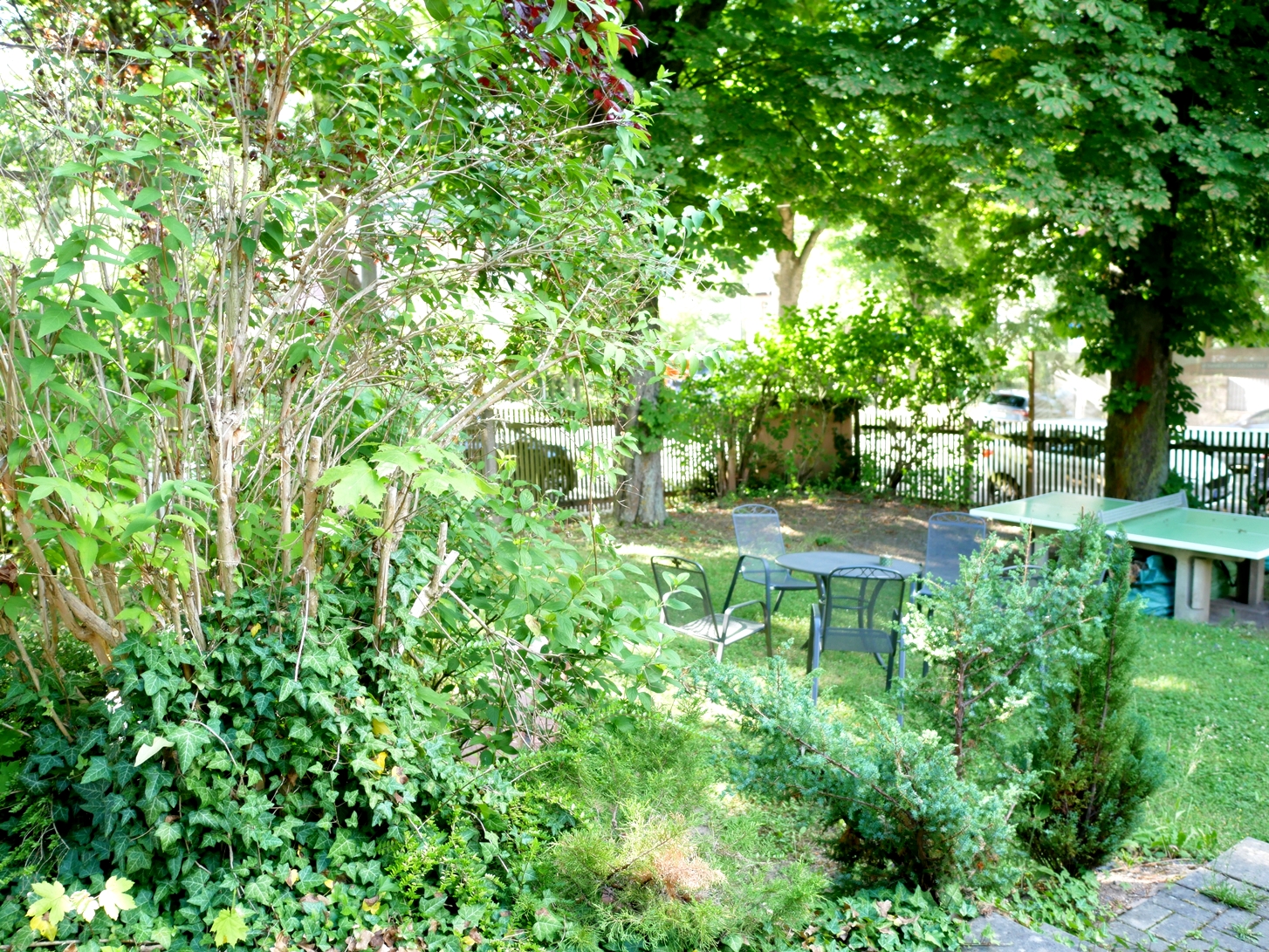 P1260189_kl