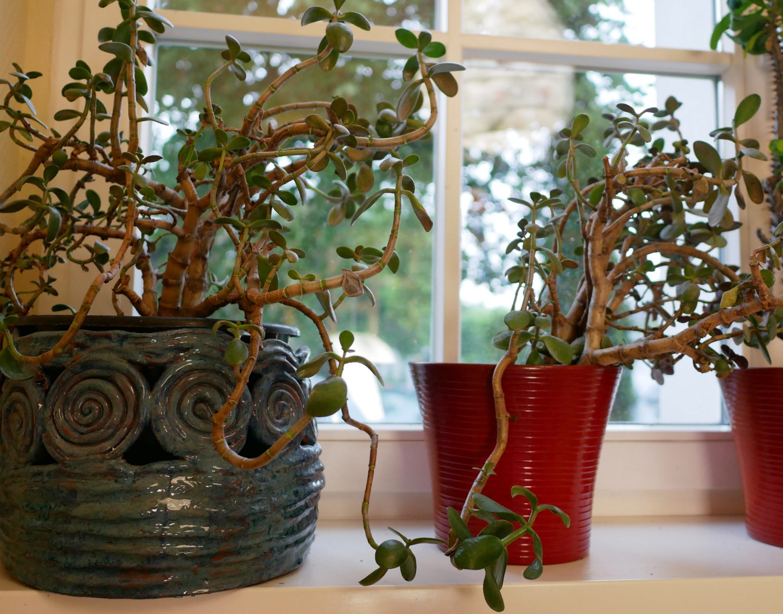 P1260340_kl