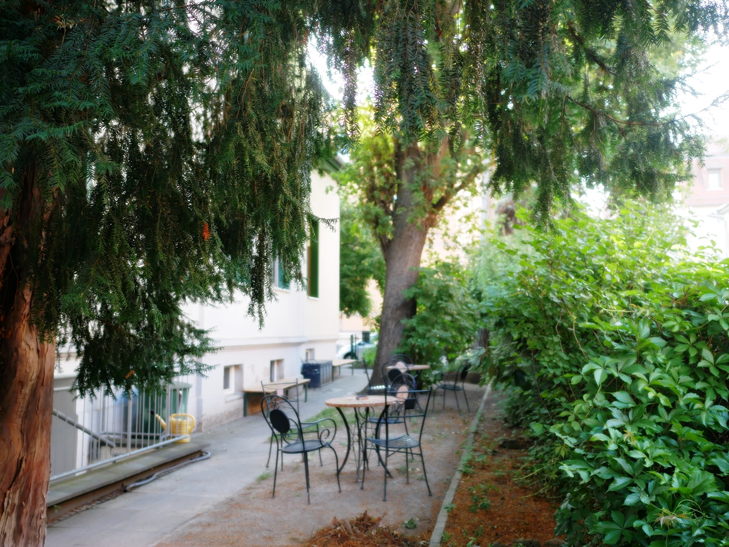 P1260461_kl