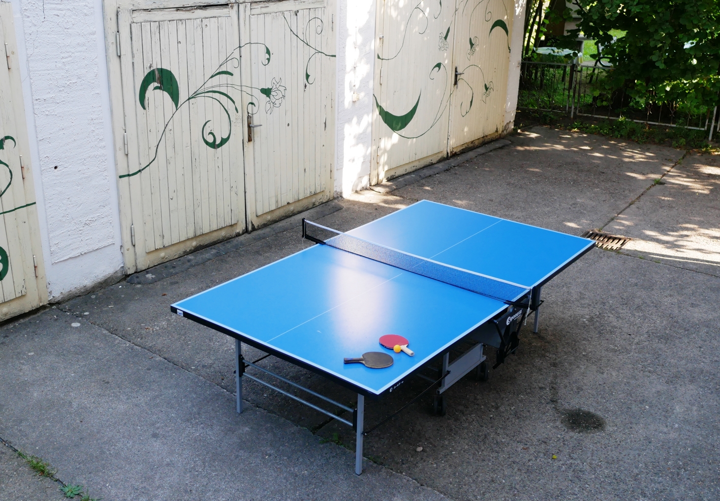 P1260701_kl