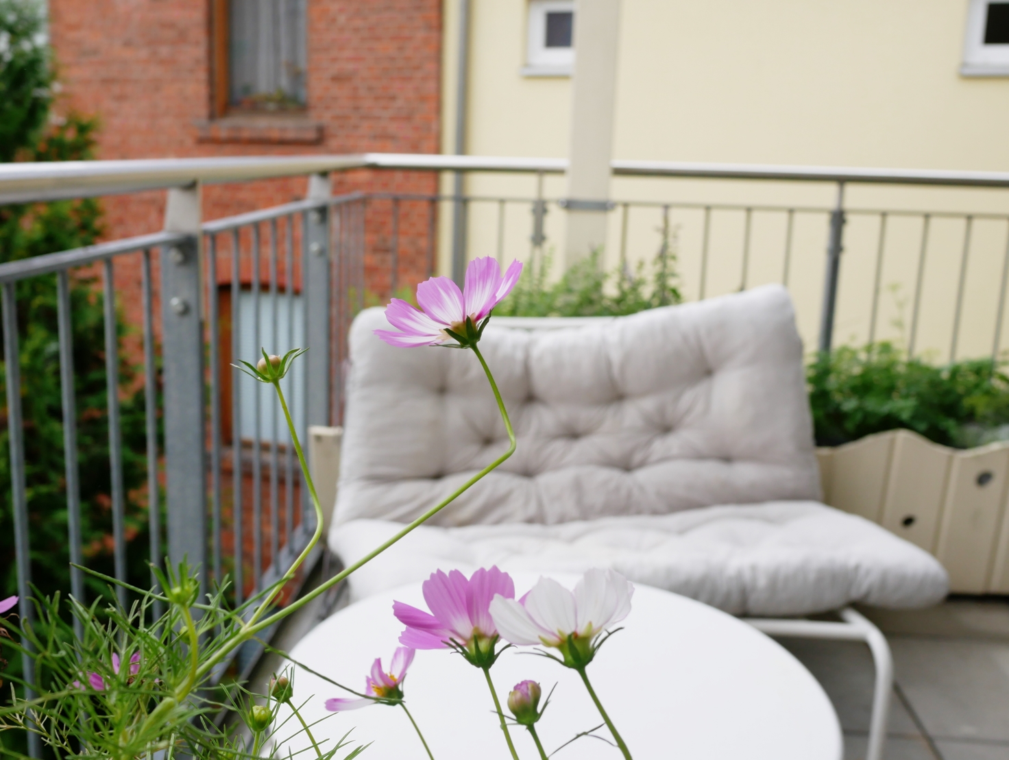 P1260839_kl